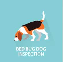 bed bug inspection dog